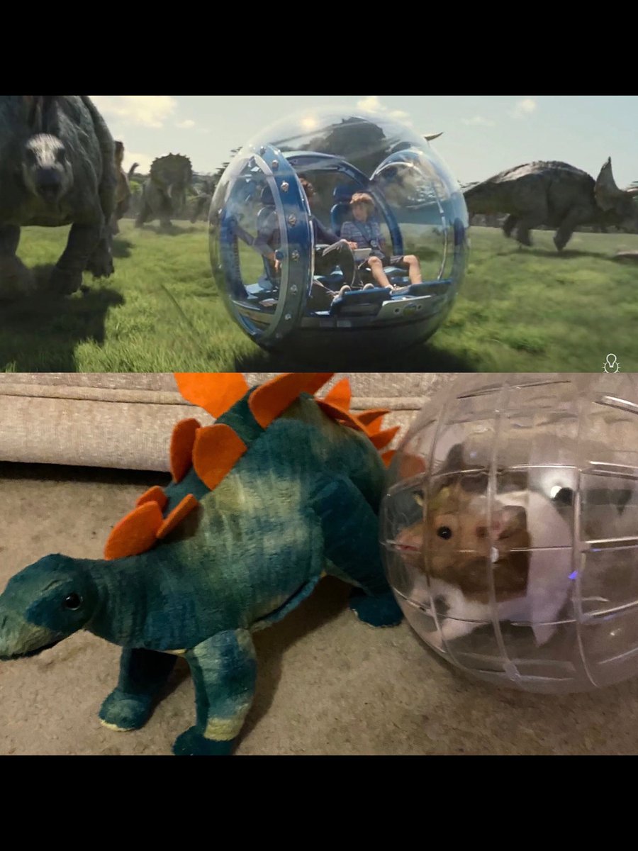 Jess_EL_Chick's tweet image. We had to cancel last night’s theatre plans, so we had a movie night at home instead - watching Jurassic World! 🦖🦕🦖🦕

When we put Bertie the hamster in his ball afterwards, he was very keen to re-enact some scenes from the film!