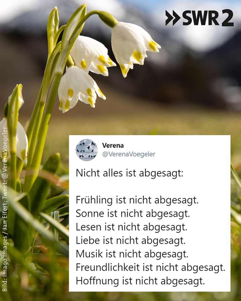 GermanLakes's tweet photo. Not everything is cancelled! Spring, sunshine, reading, love, music, friendship and hope are NOT cancelled. Hang in there, Spartans! https://t.co/gfrgoUb70c