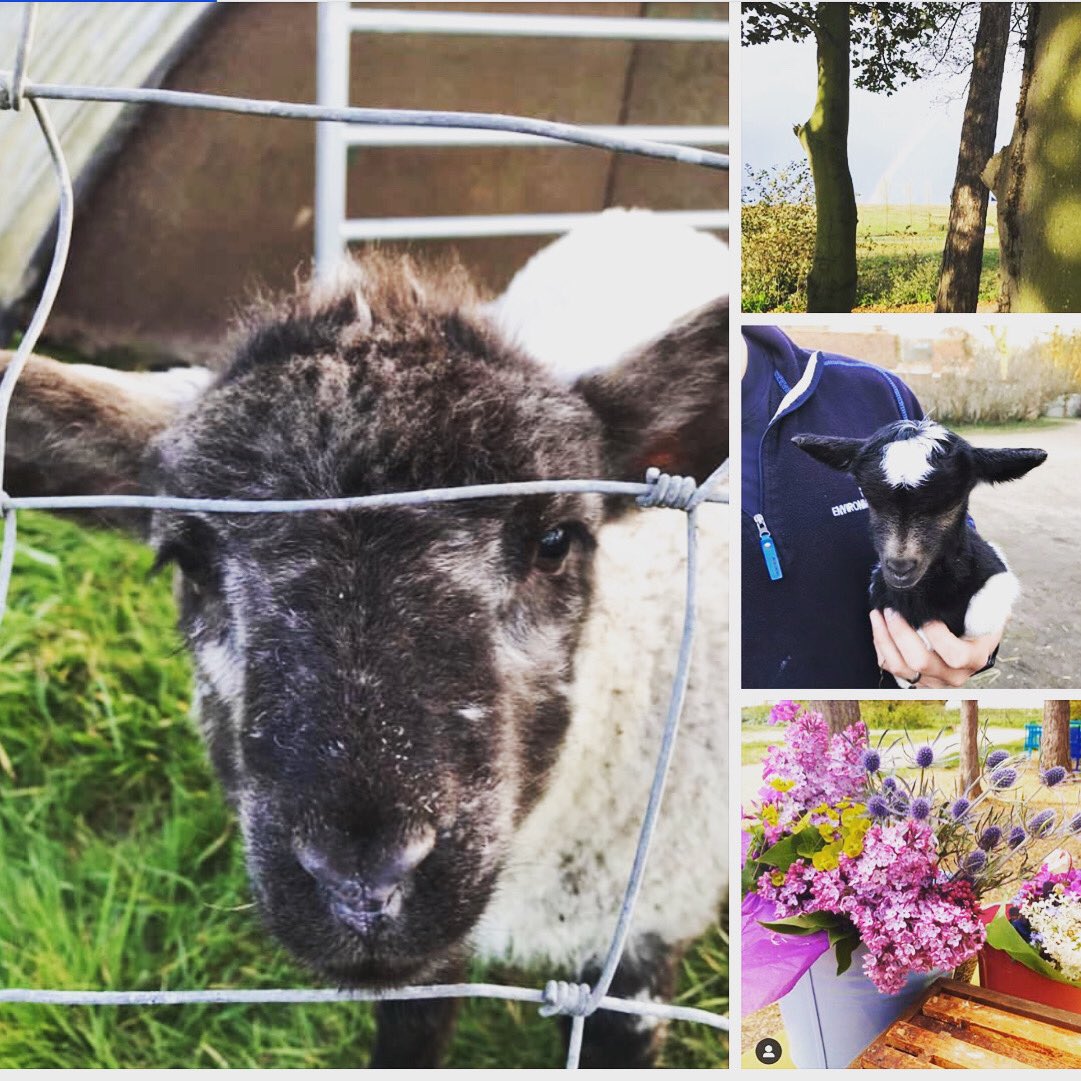 Wiveton Hall tweet media