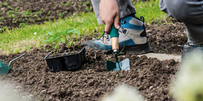#ThursdayThoughts if you are now at home for the foreseeable, now is the opportunity to get out in the garden! Get it looking great, keeping it low maintenance. Check this out rosiesgroundmaintenance.co.uk/low-maintenanc…
We can help if you don't want to or can't  
#gardening #gardeningtips #outdoors