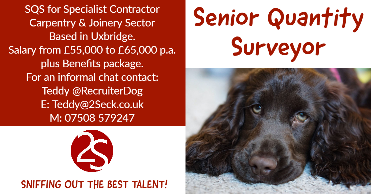 RecruiterDog's tweet photo. For more information on this role, contact Teddy on 07508 579247 or Teddy@2Seck.co.uk #QuantitySurveyors #Estimators #Construction #Careers https://t.co/eifc8gQW8r