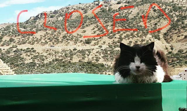 Dar Zerhoune tweet media