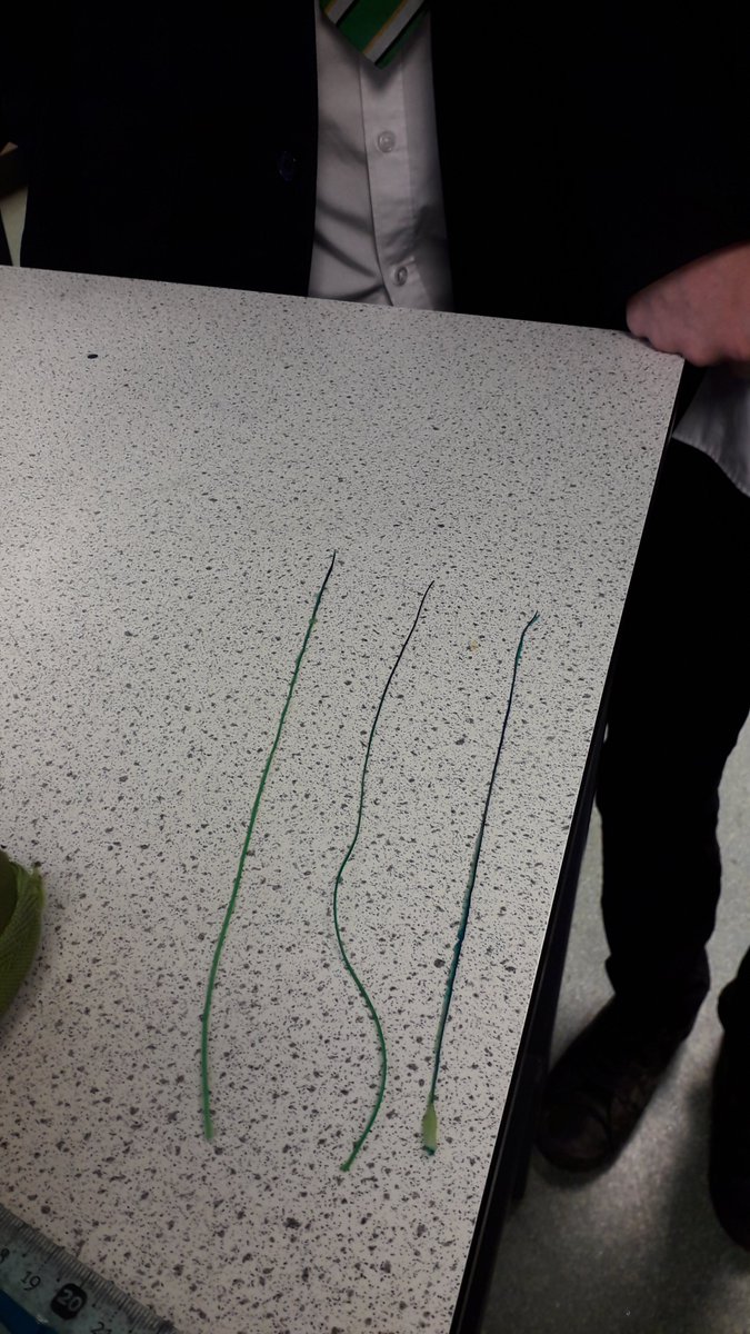 PRS_Science's tweet photo. Carry on as normal. Lots of science left to learn. #fantasticstudents #committedstaff https://t.co/9vUjaFdWFd