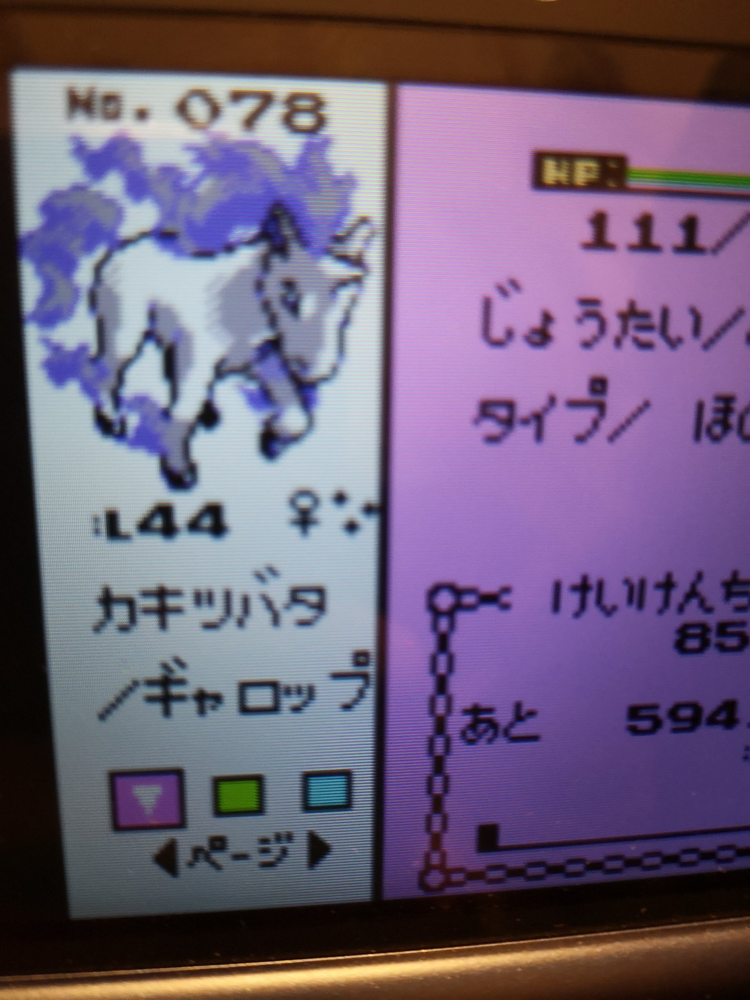 ポケモン金銀vc Twitter Search Twitter