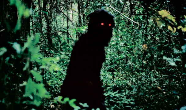 IndieWire's tweet photo. Tilda Swinton has a list of 11 favorite films you need to see, including #UncleBoonmee: https://t.co/2E4GyvjdFW

"Slow cinema at its most immersive, lateral and resonant. It’s possible to believe you dreamed Apichatpong’s films after you see them." https://t.co/F2Y1bpTRZN