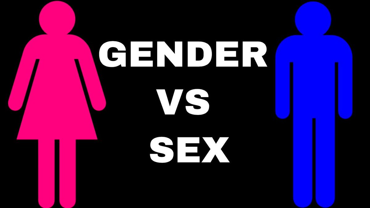 Sex, Gender And The Trans Debate University Of Bristol Law School Blog