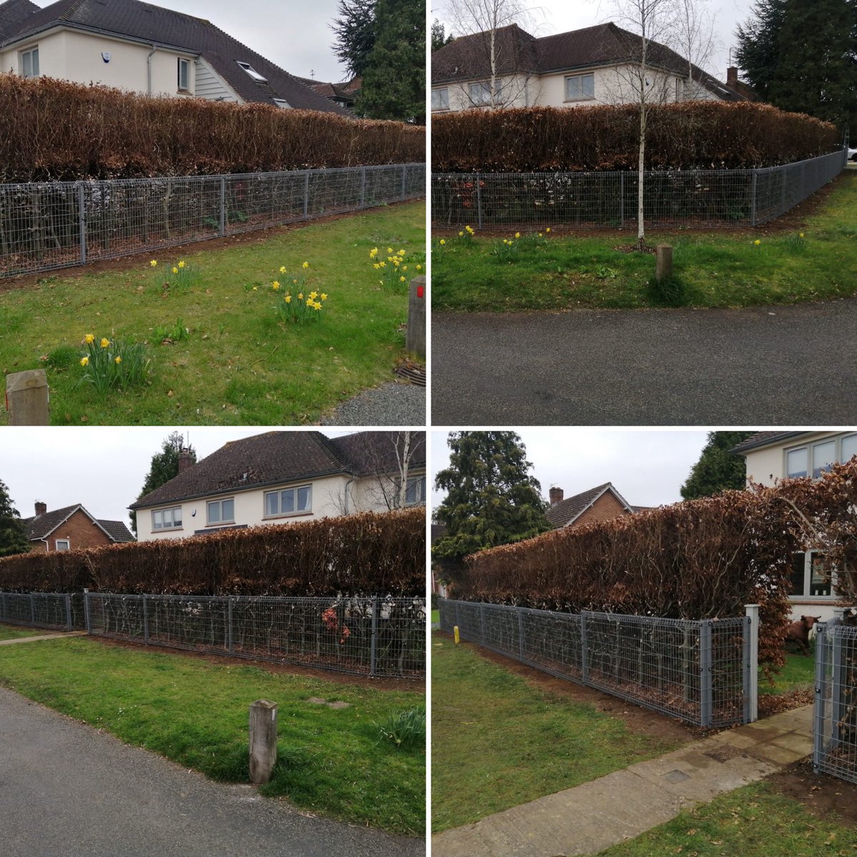 TrentwoodLtd's tweet photo. 1.2m roll top mesh fencing, powder coated grey, Abingdon, Oxfordshire.
https://t.co/2MIATiA92S #fencing #gates #oxfordshire #trentwoodltd #postsaver #fsctimber #oxfordfencing #checkatrade #buywithconfidence
#meshfencing #grey https://t.co/tSDPCl6mWD