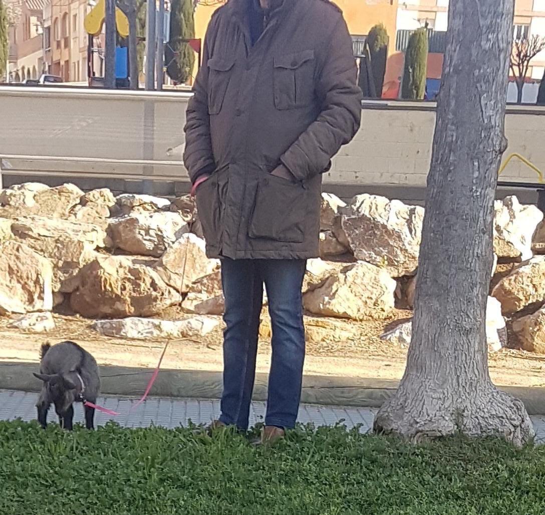 BeerCatalunya's tweet photo. Arrested today for walking his goat #QuedateEnCasa #CuarentenaTotal https://t.co/mRlzdEU1pe