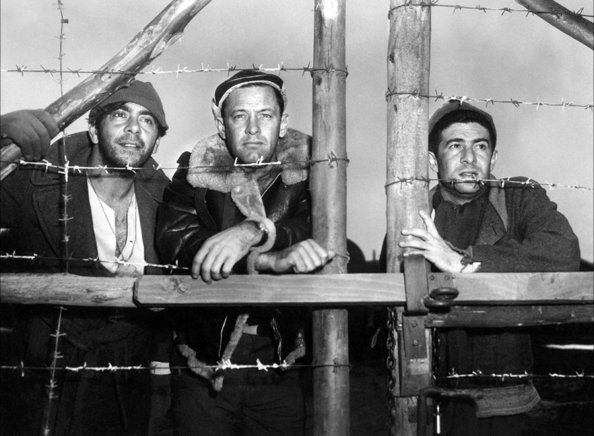 Stalag comics download torrents Stalag comics download torrents call of duty for mac os x torrent