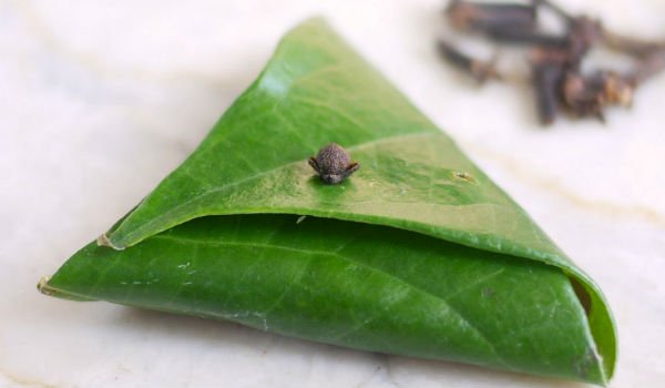 तांबूल-सेवनका आध्यात्मिक दृष्टि से महत्त्व

भोजन के उपरांत तांबूल-सेवन के कारण पान के पत्ते से सूक्ष्म-वायु प्रक्षेपित होती है । परिणामस्वरूप अन्न से प्रक्षेपित सात्त्विक तरंगों को ग्रहण करने की, जीव के प्राणदेह तथा प्राणमयकोष की क्षमता बढ जाती है ।