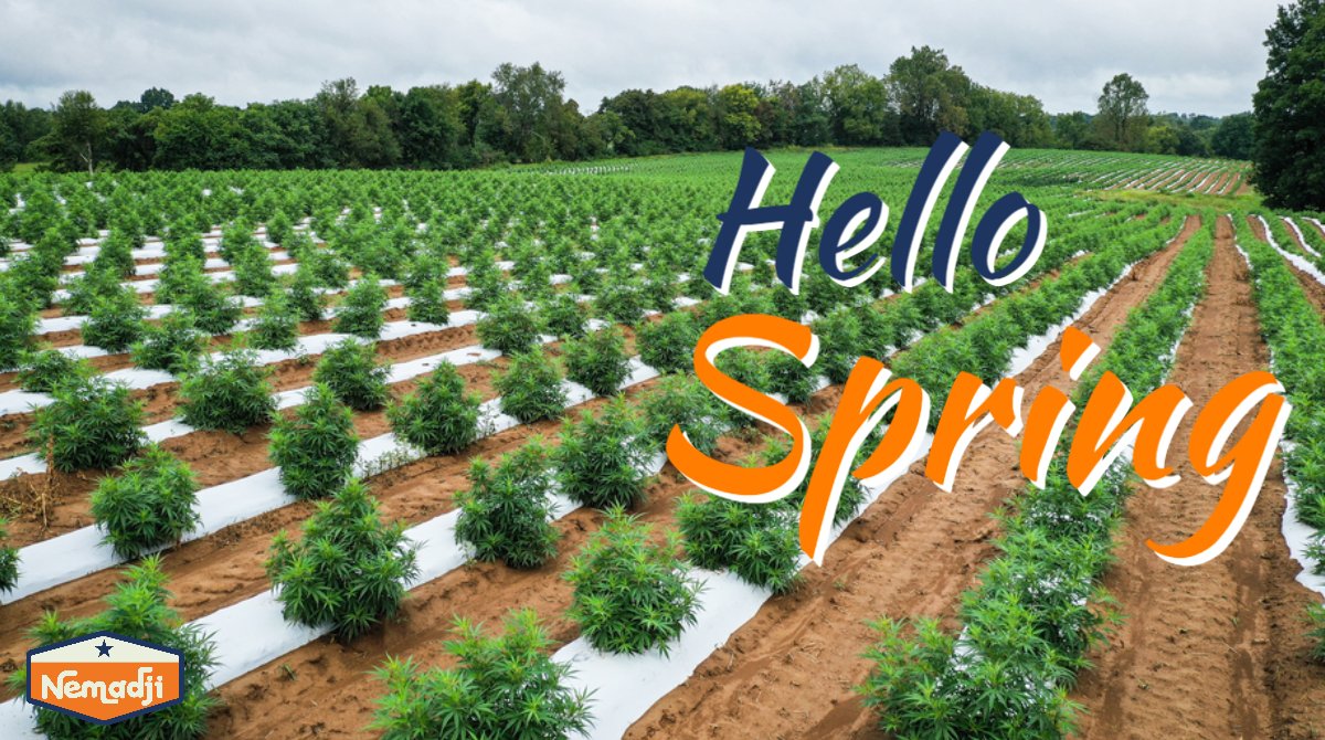 Nemadjico's tweet photo. Winter is officially over. We've all got a lot on our minds and probably some feelings of uncertainty, but we can all appreciate more daylight, green grass, and growing season! We look forward to working in the fields. #spring #hemp #hempfarm #hempfarming #hempfields #cannabis https://t.co/nX9sfyxKf7
