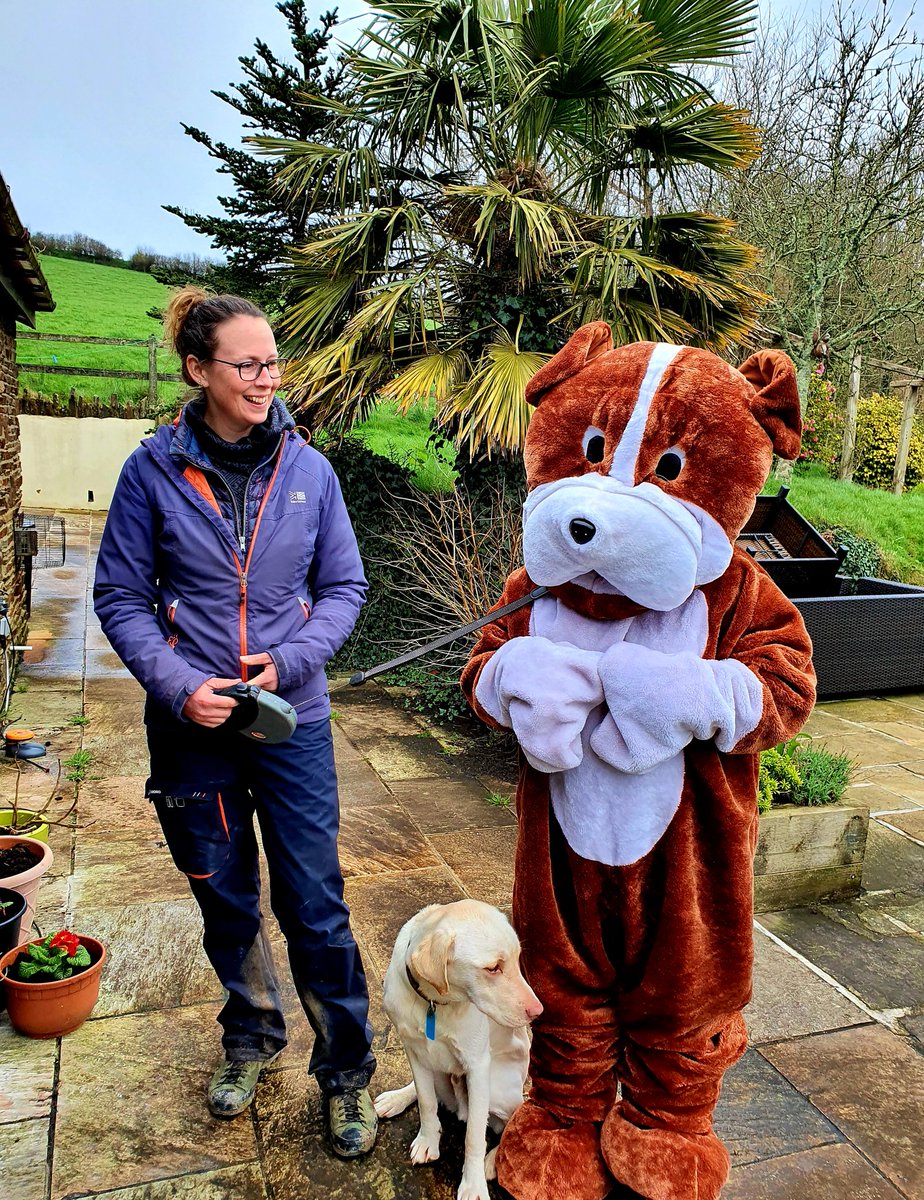 woofstockuk's tweet photo. When you are stuck at home and come up with a plan to convince your pawsome dog walker to take you out with the dogs. It didn't work ๐คฃ
No germs were spread in the making of this story ๐
#woofstockuk #woofstock #dogsofwoofstock https://t.co/aiolYGApE1