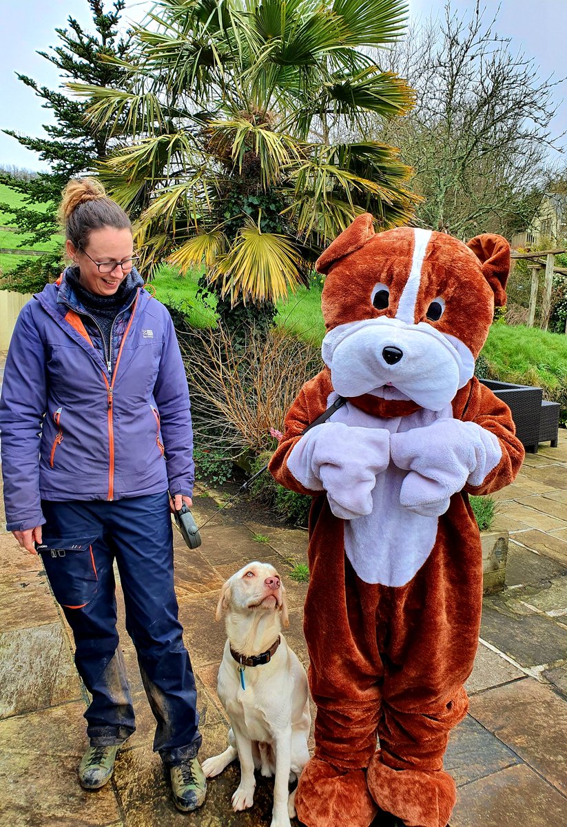 woofstockuk's tweet photo. When you are stuck at home and come up with a plan to convince your pawsome dog walker to take you out with the dogs. It didn't work ๐คฃ
No germs were spread in the making of this story ๐
#woofstockuk #woofstock #dogsofwoofstock https://t.co/aiolYGApE1