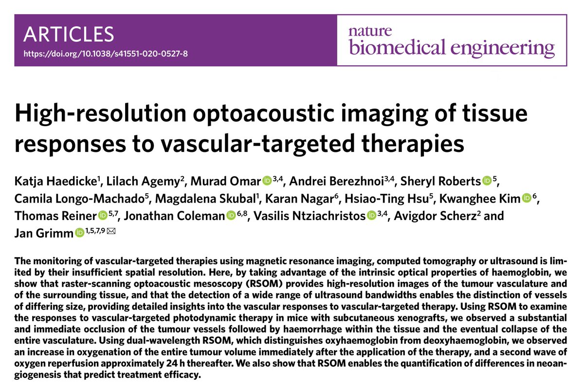 High-resolution optoacoustic imaging of tissue responses to vascular-targeted therapies

rdcu.be/b27El