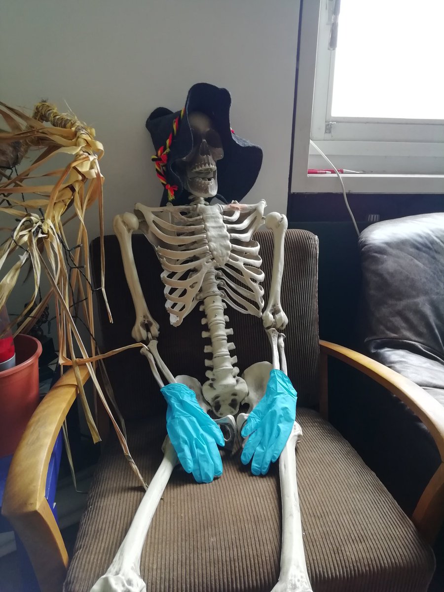 KnochenThe's tweet photo. Please stay at home if possible. I've everything under control. Except my plant colleague.
#FlattenTheCurve
#Homeoffice
#SecurityJochen https://t.co/N4rWANX6gI