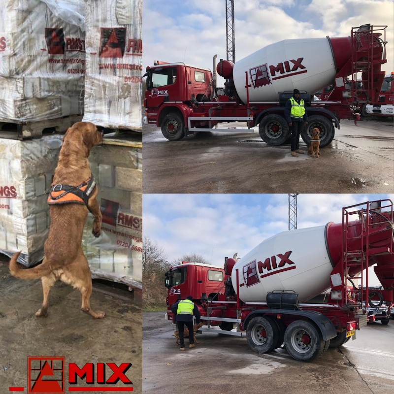 The Armstrong Group were pleased to welcome a specialist detection dog from a Caribbean airport security team to our Amix Concrete plant.

The handler is on a course with local based company <a href="/ScentPro/">ScentPro</a> learning to handle specialist detection dogs to help find concrete threats.