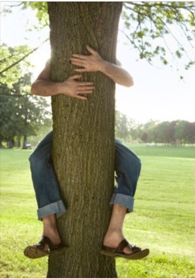 Соответствие дерева человек. Человек обнимает дерево. Мужчина обнимает дерево. Человек обнимается с деревом.