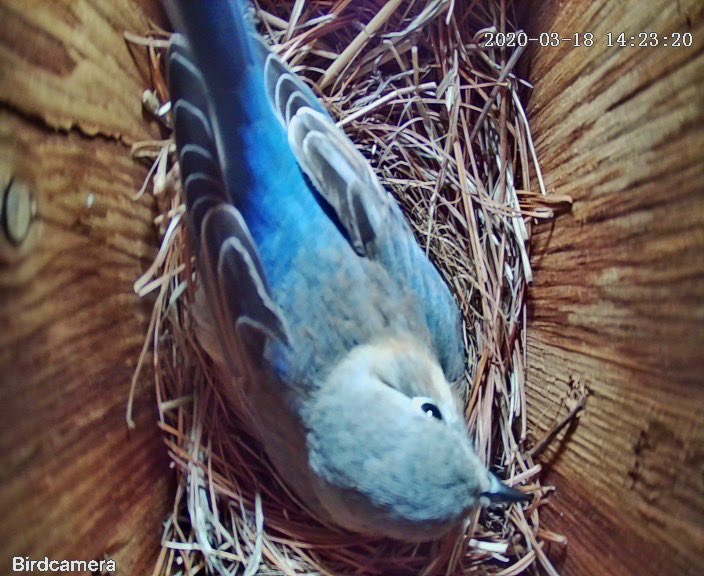 MaryVYoung's tweet photo. My visitors make me happy!  Signs of hope and life! #GOODDAYDC https://t.co/AXxbOhZKTu