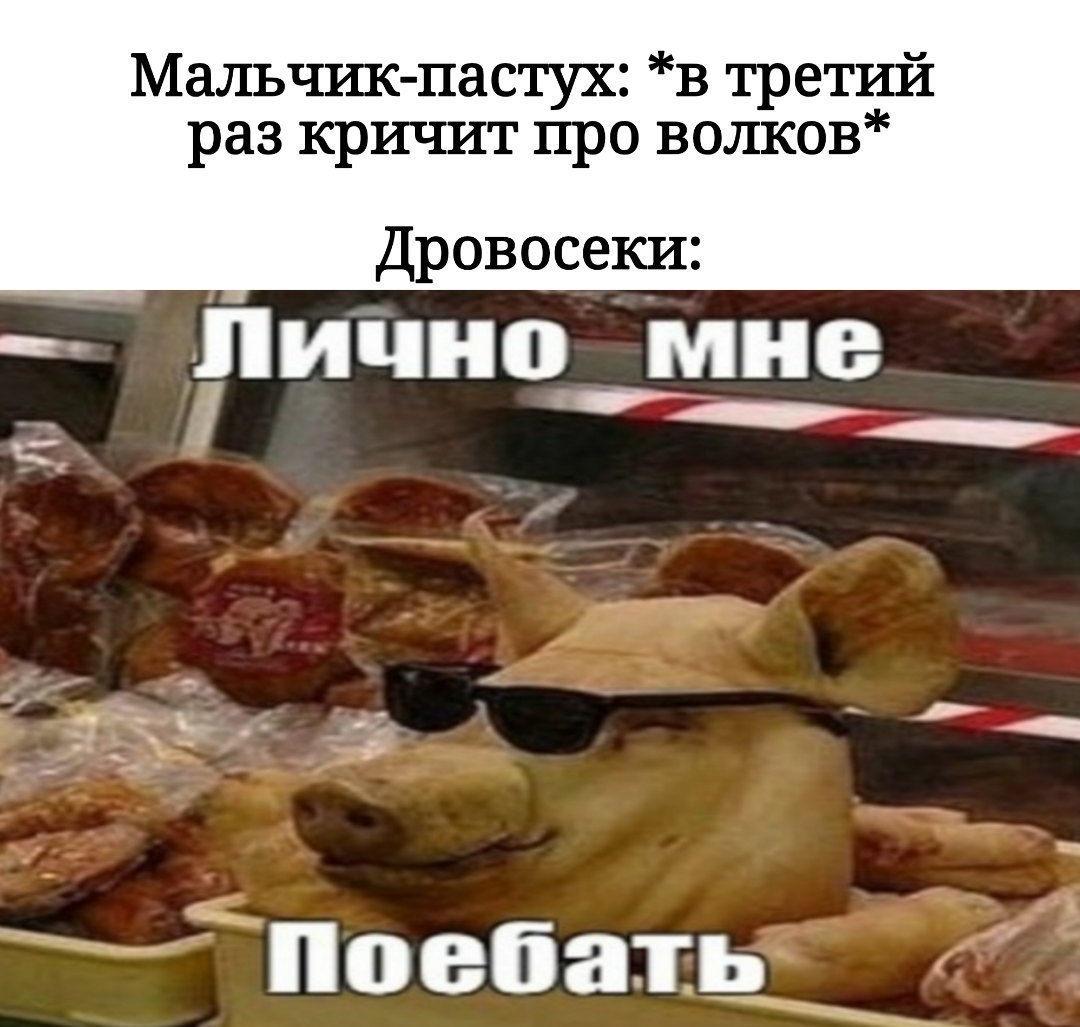 ETePG19WoAA0q9j?format=jpg&name=medium
