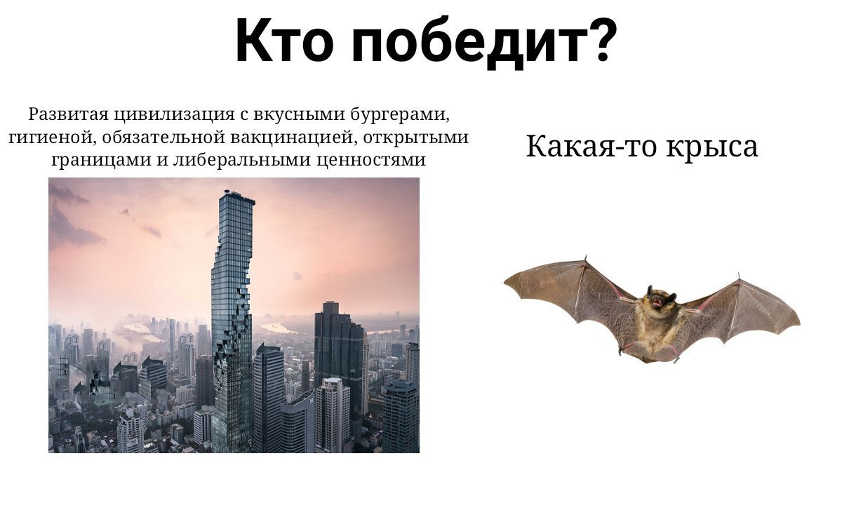 ETePGMZWAAMdASQ?format=jpg&name=medium