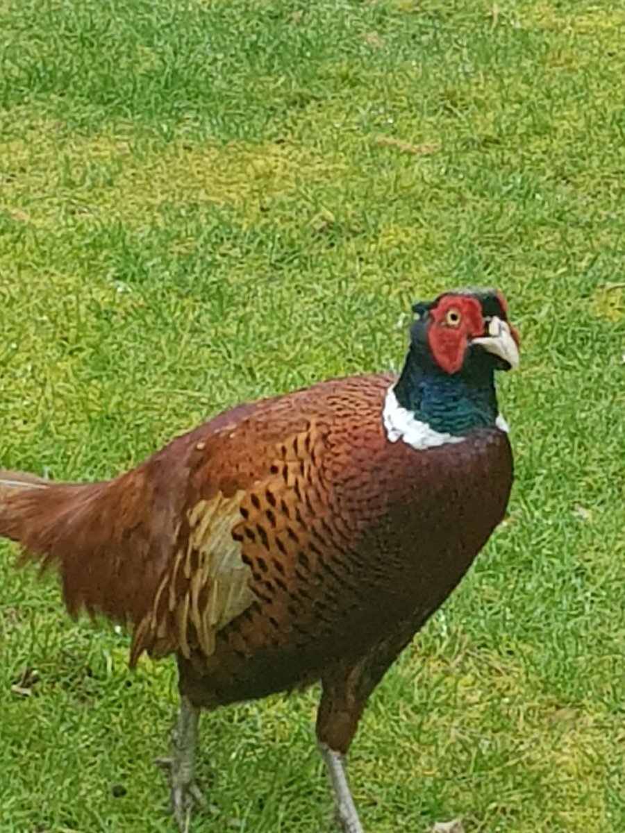 Simon_Cromer_Maintenance tweet media