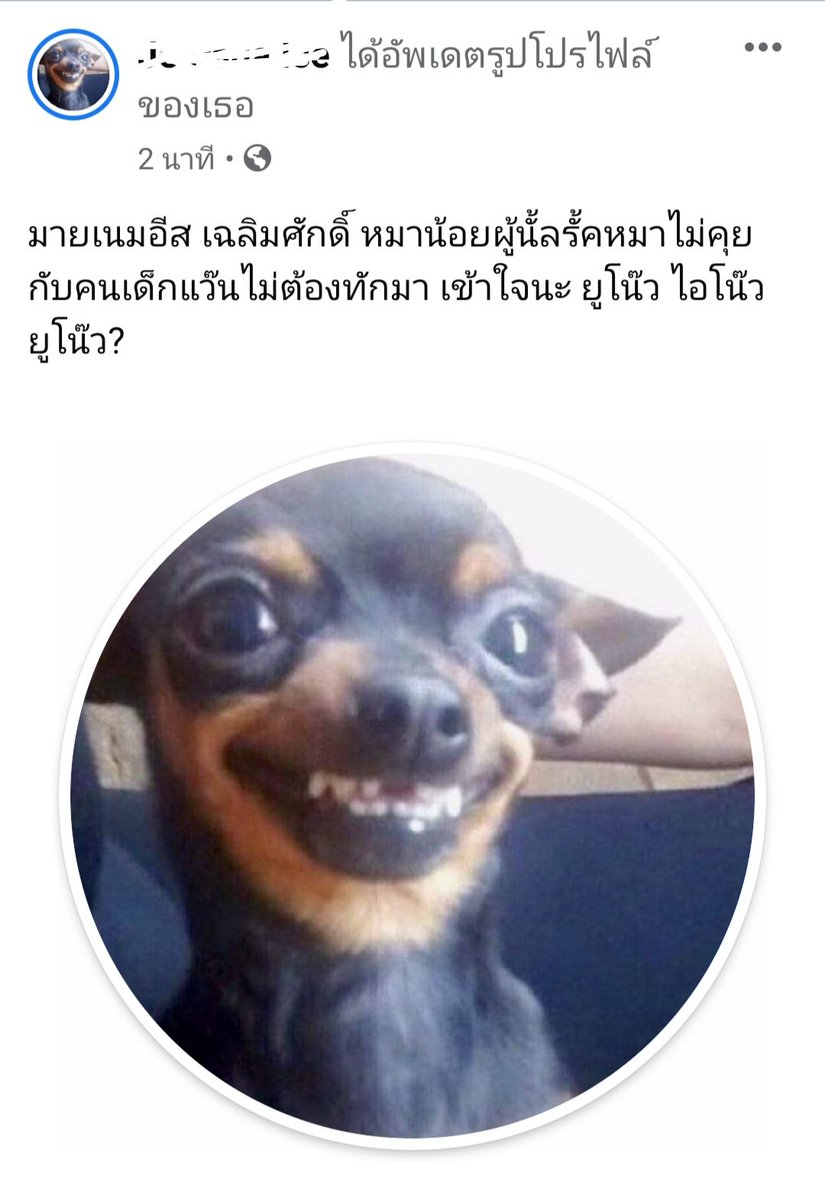 ปิดแล้วครับผมจะเอาเวลาไปนอน tweet media