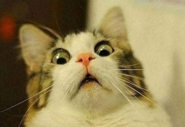 AM_Apeksha's tweet image. Waiting for tomorrow be like 😂

#ControlTomorrow