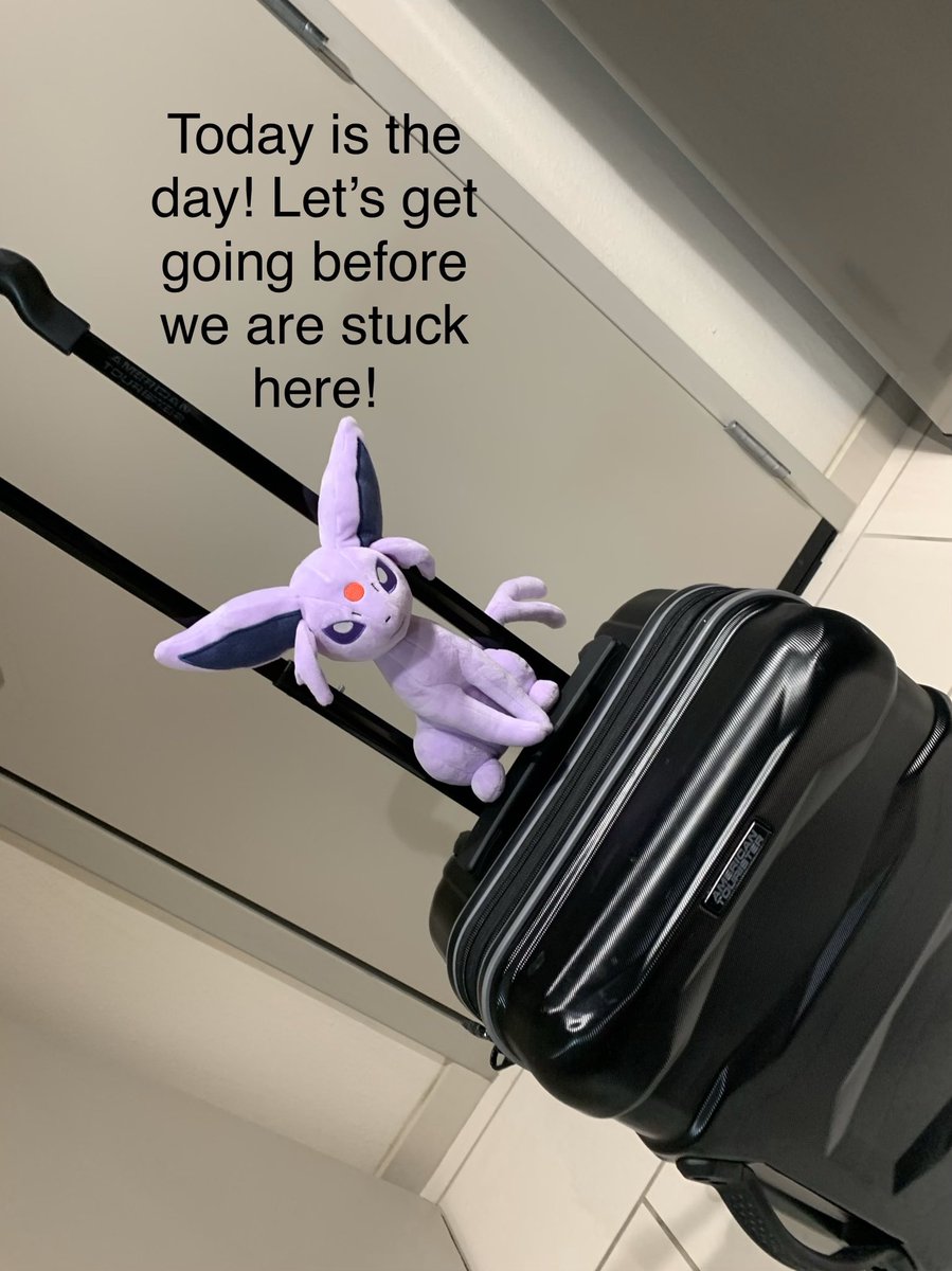 PokemonPlushie's tweet photo. Watch our own Kadie-Mon open Pokémon Cards #pokemoncards on YouTube https://t.co/almFzppKpu  @pokemon @pokemon_jpn @pokemonufficiale #pokemon #pokémon #pokemonshiny #pokemonphotography #pokemontradingcardgame #pokemonsword #QuarentineLife #Quarantine #quaratinememe https://t.co/3vaEE3YE8g