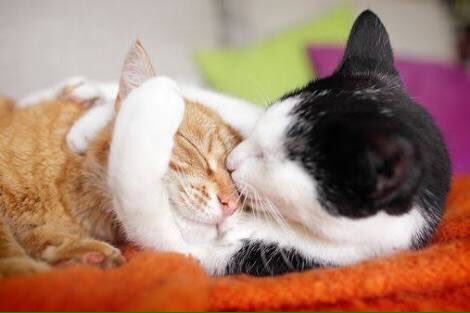 Always love 
     Your friends 
            From heart,
               Not from your 
                    Möôd or need❤️