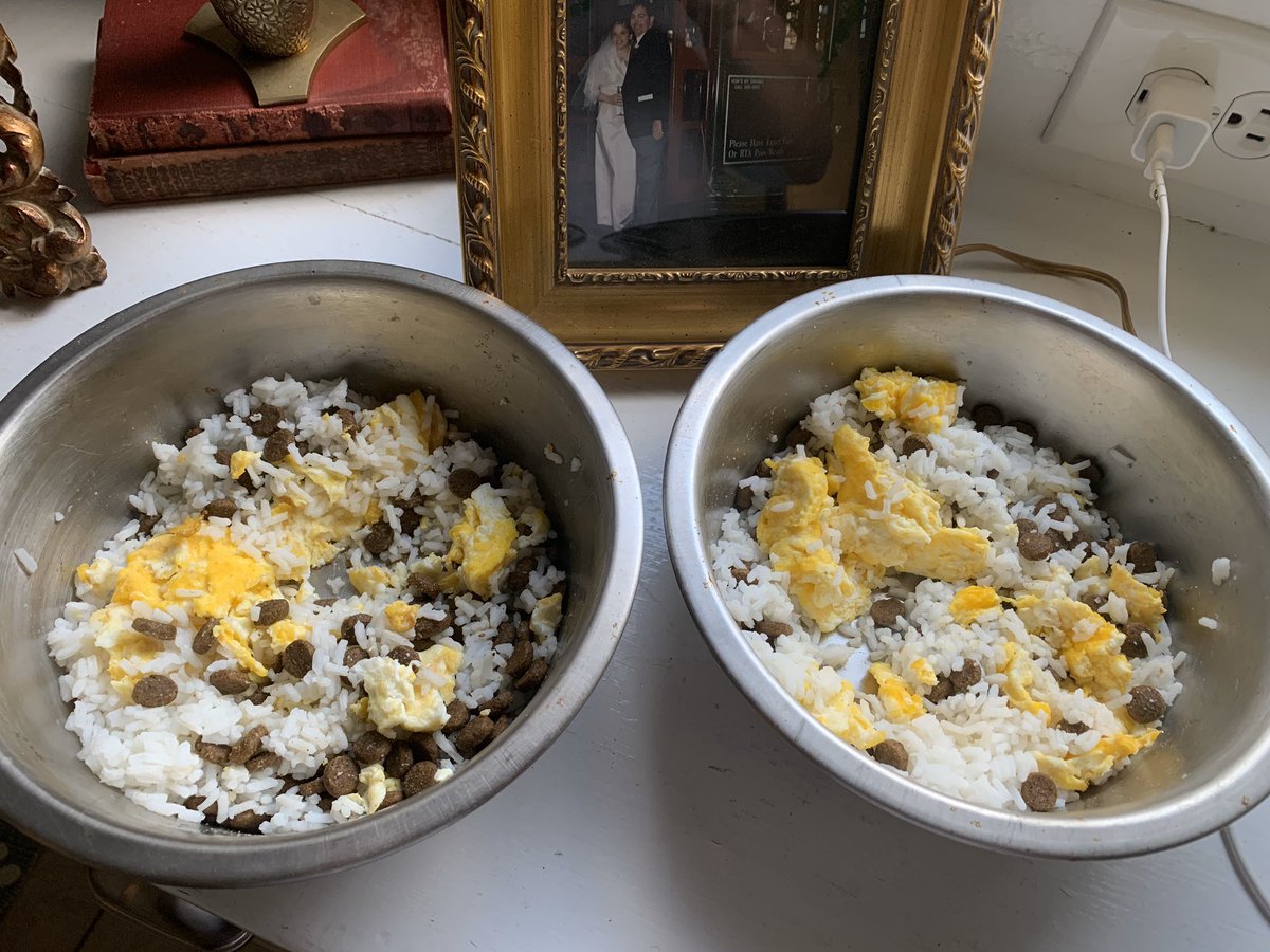 pfeifla's tweet photo. HunkieHank and Mildred had breakfast of champions since @Chewy was delayed on our auto shipment of @tasteofthewildL dog food. Eggs and rice mixed with our last cup of food! https://t.co/Of6wUfcaQp