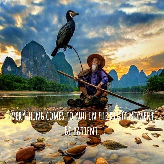 Ambition Daily tweet media