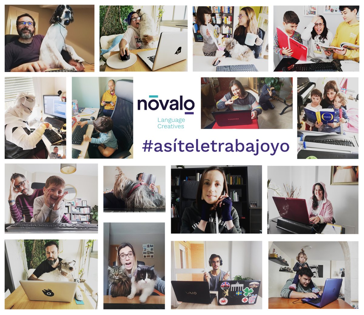 Novalo_LS's tweet photo. Si el #teletrabajo no es lo tuyo, ¡no te desanimes! Fíjate en nuestro equipo: los #novaleros aprovechamos estos momentos para vivirlos con humor…
Y tú, ¿cómo te las apañas? ¡Queremos verte!
#asíteletrabajoyo #yomequedoencasa #juntospodemos #resistiré #sobreviviré #humorantetodo https://t.co/LDuY4Fd8Rs