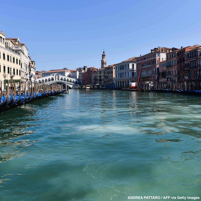 This is amazing!!  The water is so clear in the Venice canals in Italy, dolphins have appeared for the first time in 60 years 🐬 ❤️