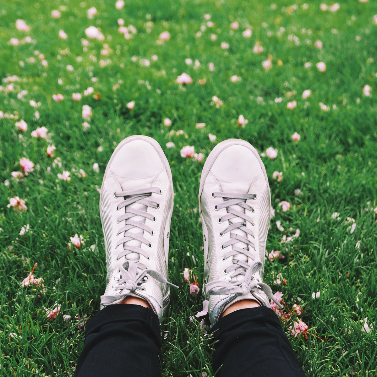 focus_wc's tweet image. Celebrating the first day of spring 🌸✨ 
•••
#spring #focusWC #springtime #GetOutside