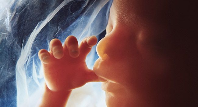 Without minimizing the seriousness of the Coronavirus pandemic, here is a thought sent to me worth pondering: If Planned Parenthood were forced to shut down for just a few weeks, the virus will have saved more lives than it has taken so far. More here: bit.ly/33rtqxq