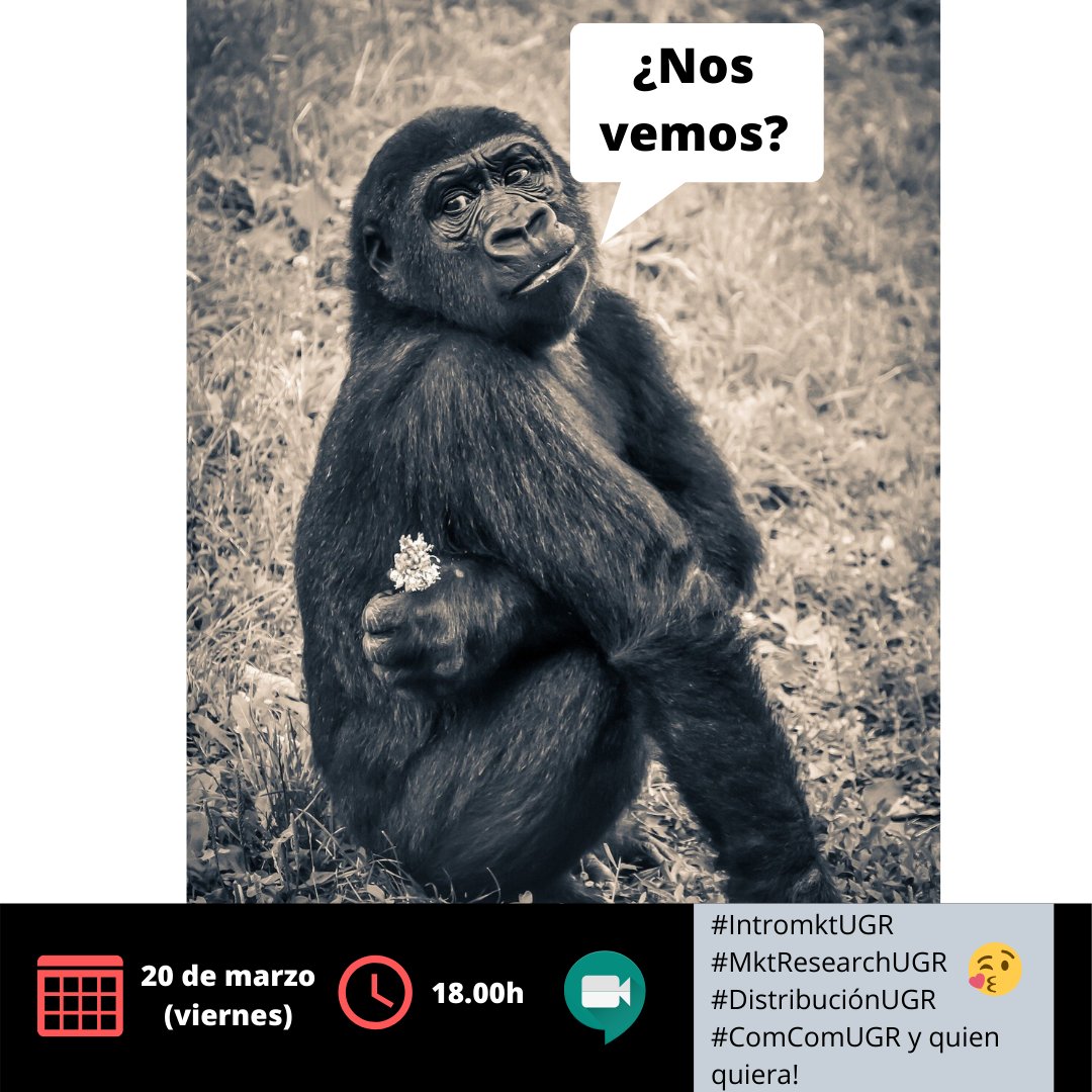 beurruti's tweet photo. 🖥👋 Equipos de #IntromktUGR #MktResearchUGR #DistribuciónUGR #ComComUGR he pensado hacer una reunión por Meet el viernes 20 de marzo a las 18.00h 🙂¿Quién se apunta? Pondré el enlace por aquí para conectarnos 😘✍ https://t.co/QKlgwJ4JvM