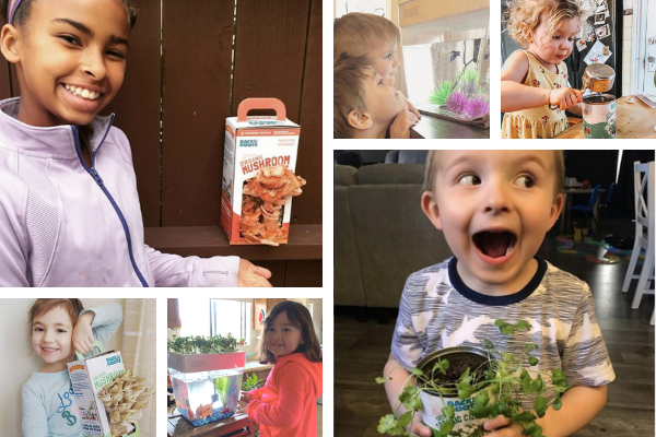 OutTeachEd's tweet photo. Request Free Gardening Kits for Your Students https://t.co/gg4GpGdMAm https://t.co/jTGCEDfegz