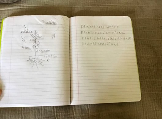 Laura Venezio (@veneziolaura) on Twitter photo Day 4 and my first grade students and I continue to stay connected. We've got this! Thank you ClassDojo and Seesaw #LindenLearnsAtHome <a href="/School10Tigers/">Highland Avenue School No. 10</a> <a href="/ClearyLPS/">Denise Cleary</a> <a href="/Seesaw/">Seesaw</a> <a href="/ClassDojo/">ClassDojo</a> Day 4 and my first grade students and I continue to stay connected. We've got this! Thank you ClassDojo and Seesaw #LindenLearnsAtHome <a href="/School10Tigers/">Highland Avenue School No. 10</a> <a href="/ClearyLPS/">Denise Cleary</a> <a href="/Seesaw/">Seesaw</a> <a href="/ClassDojo/">ClassDojo</a>