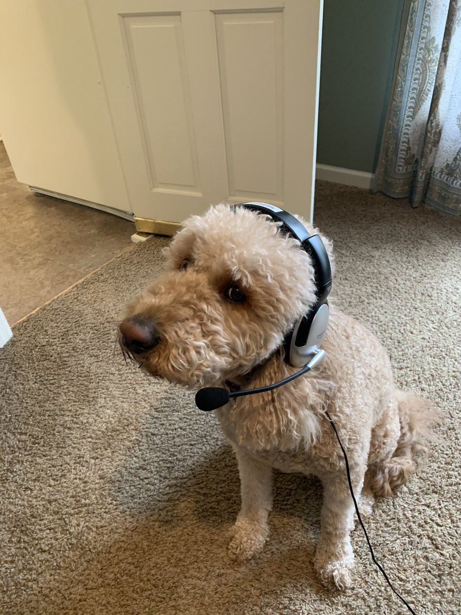 YCProfVG's tweet photo. @LutherSpeaks Meet #MrWilson, my personal assistant for day #1 of on-line. You need one!! https://t.co/7rCJnus64H