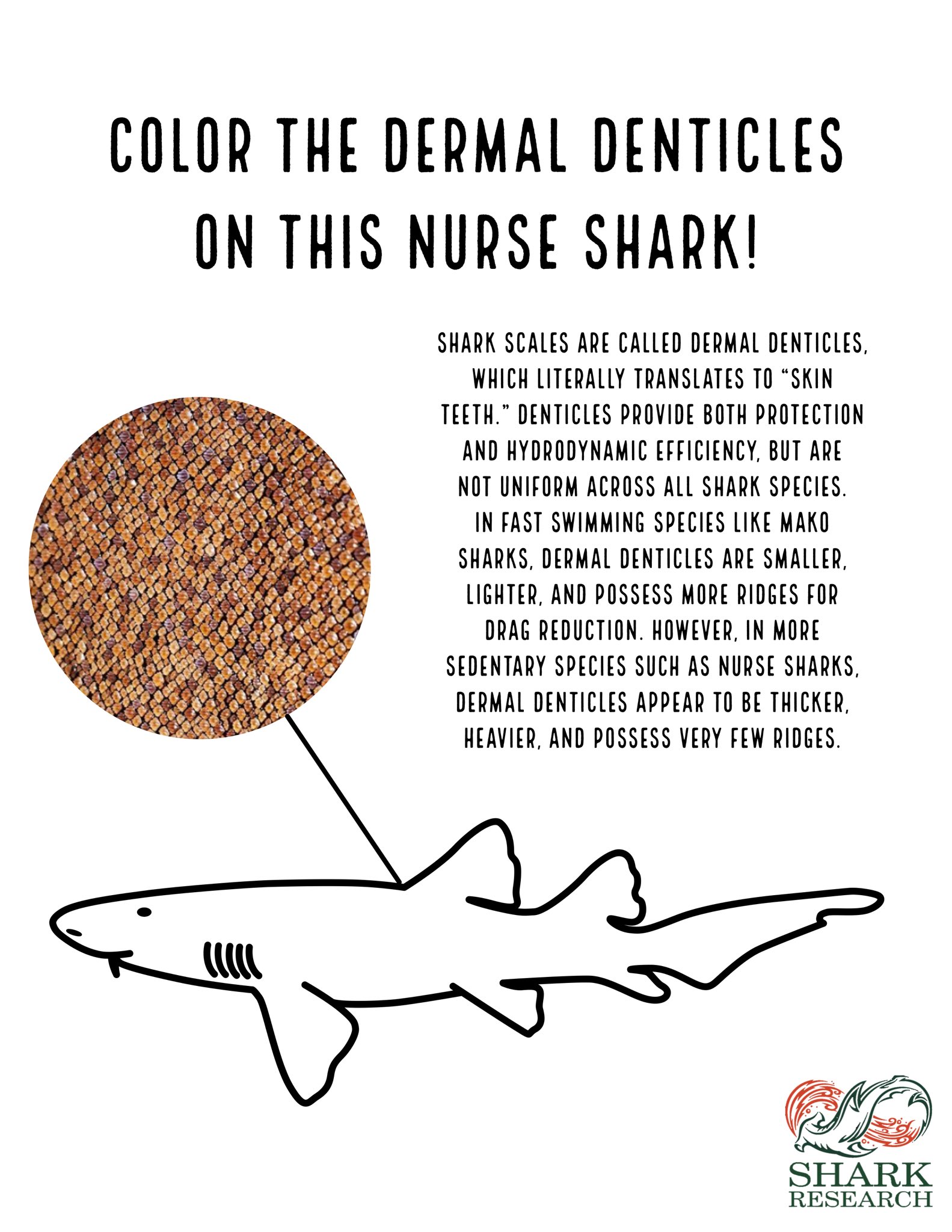 Nurse Shark Coloring Page
