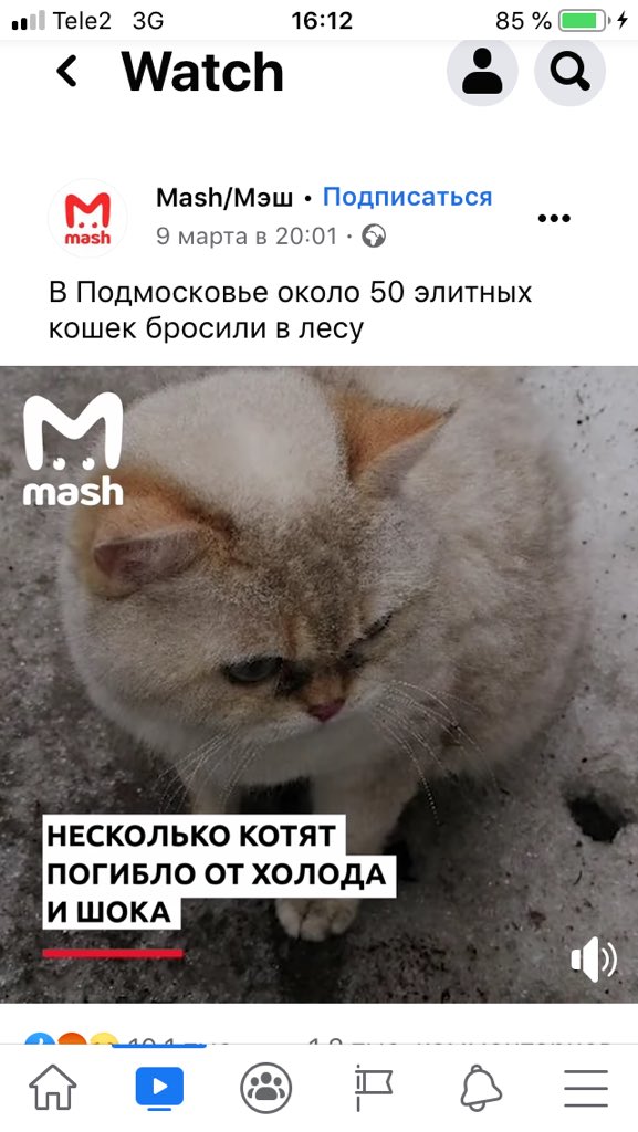 Как можно быть настолько жестокими? 😐😑🙄 m.facebook.com/breakingmash/v…