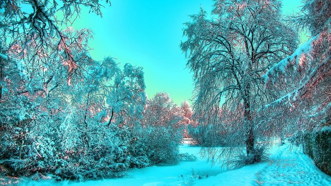 John Robert (@johnrob56215198) on Twitter photo 