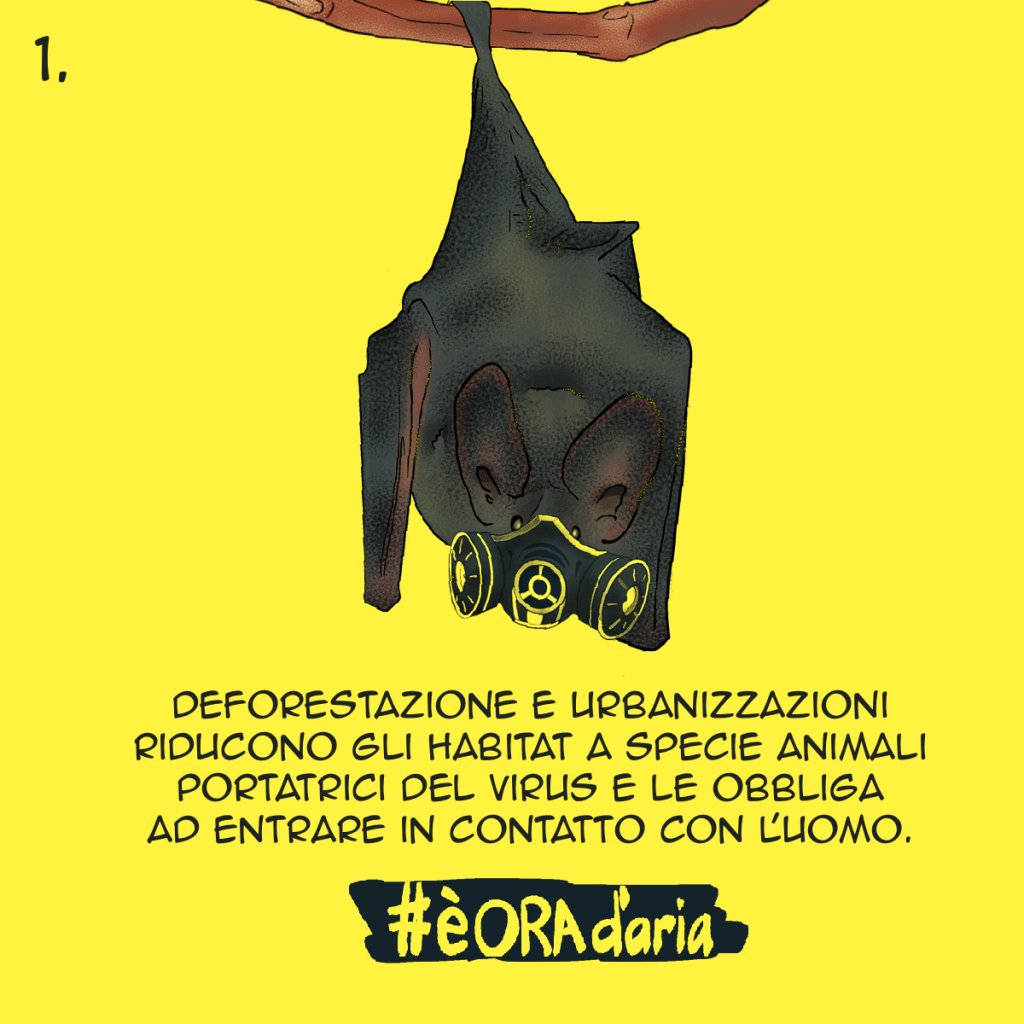 ora_d_aria's tweet photo. Assunzione consigliata ad ogni età. Non ha effetti collaterali e non necessita di prescrizione #pilloleantivirali

#èoradaria #COVID2019italia #coronavirus #CoronaVirusChallenge #CoronaVirusitaly #deforestation #urbanisation #virus #lockdown #lockdownitalia https://t.co/g2RMvt1mMd