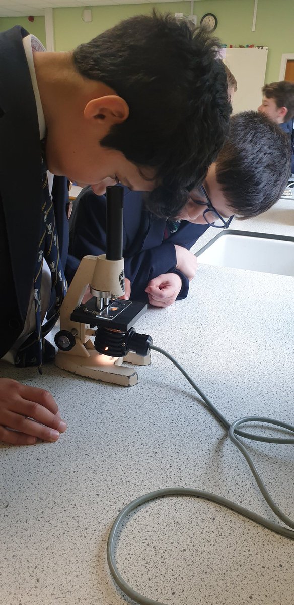 SS_Biology's tweet photo. Looking at different pollen grains with Year 7 this morning 🌷🌺🌼 @Stamford_Head @SESPastoral @SpedeNews https://t.co/OOrofaqi61