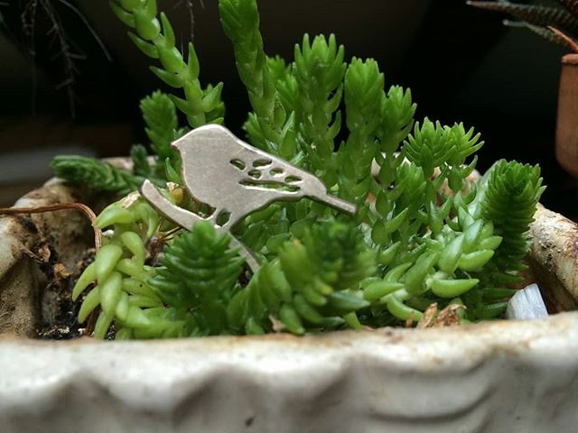 It's important in these times to remember to go outside - smell the fresh air, watch the flowers begin to bloom! Stay positive, friends 💚 bit.ly/2J1wyXw