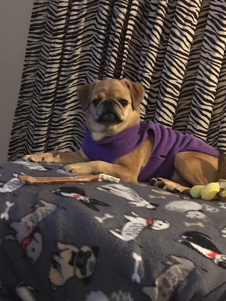 tap031182 tweet media