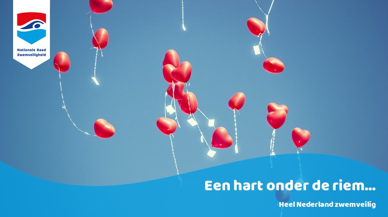 Nationale Raad Zwemveiligheid tweet media