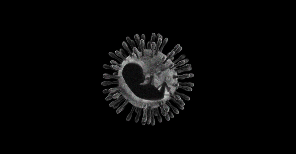 AboutMyLupus's tweet photo. Giving Birth In the Shadow of the Coronavirus https://t.co/jJnTN9jQLE #lupushelp #lupussupport #aboutmylupus https://t.co/VhVfbTCWsF