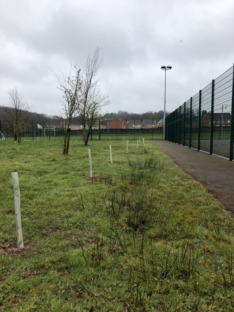 NewportHigh_ECO's tweet photo. Thanks to the @WoodlandTrust for their trees and these legendary helpers who have planted them throughout our school site! @NewportH https://t.co/1k7pe1jlrC