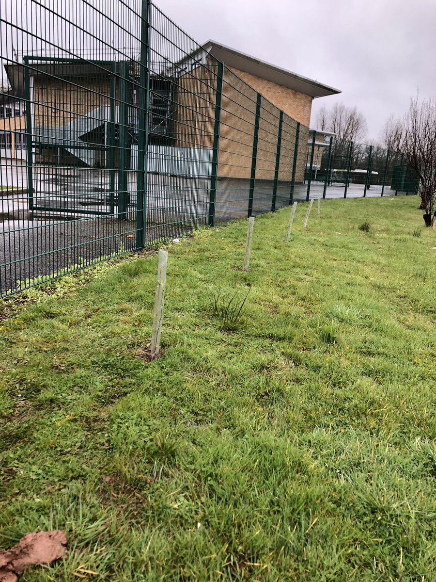 NewportHigh_ECO's tweet photo. Thanks to the @WoodlandTrust for their trees and these legendary helpers who have planted them throughout our school site! @NewportH https://t.co/1k7pe1jlrC